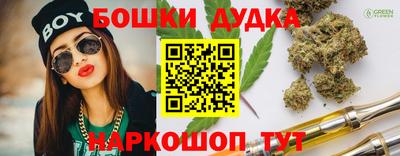 МДПВ Камышлов