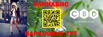 МДПВ Камышлов