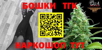МДПВ Камышлов