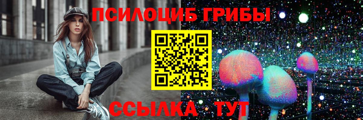Псилоцибиновые грибы Cubensis  Псилоцибиновые грибы Cubensis  Вход с VPN  Людиново 