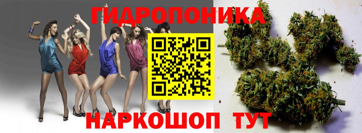 Бошки Шишки ГИДРОПОН Людиново